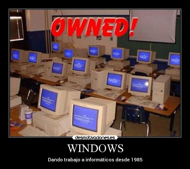 WINDOWS -