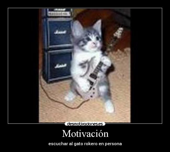 Motivación - escuchar al gato rokero en persona