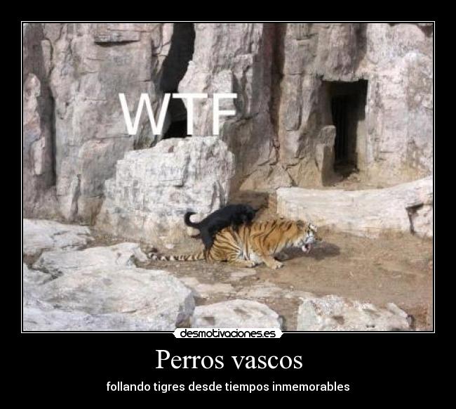 Perros vascos - follando tigres desde tiempos inmemorables