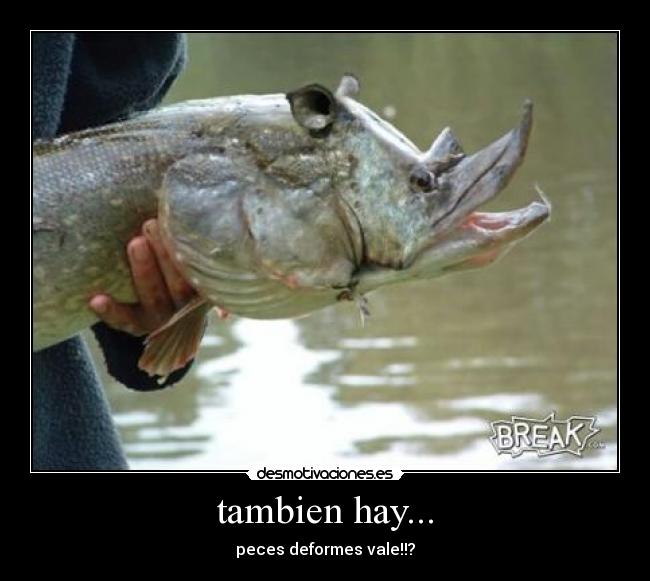 tambien hay... - peces deformes vale!!?