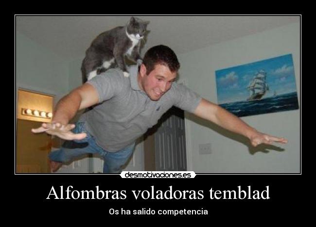 Alfombras voladoras temblad - Os ha salido competencia