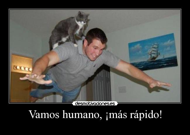 Vamos humano, ¡más rápido! - 