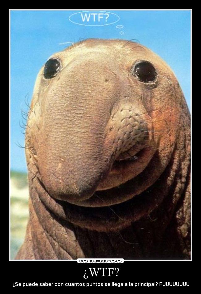 ¿WTF? - ¿Se puede saber con cuantos puntos se llega a la principal? FUUUUUUUU