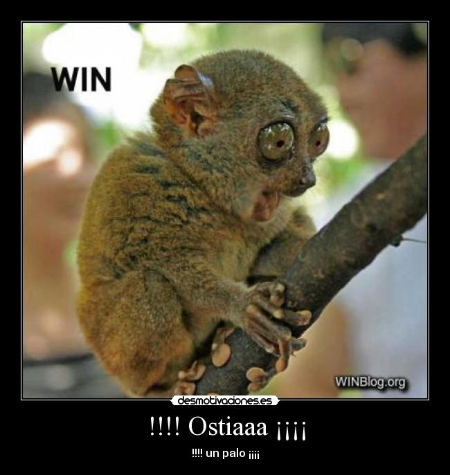 !!!! Ostiaaa ¡¡¡¡ -