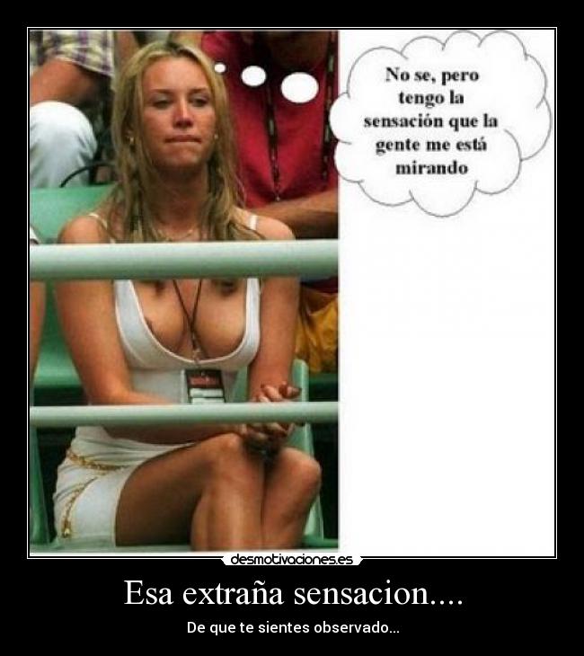 Esa extraña sensacion.... - De que te sientes observado...