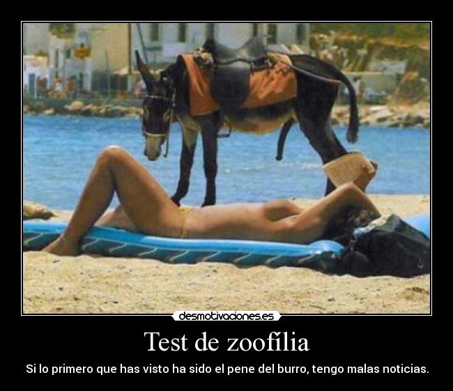 Test de zoofília - Si lo primero que has visto ha sido el pene del burro, tengo malas noticias.