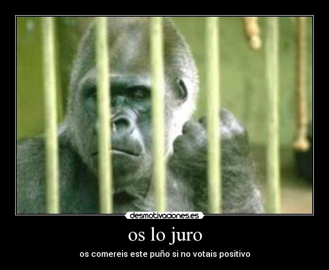 os lo juro - os comereis este puño si no votais positivo