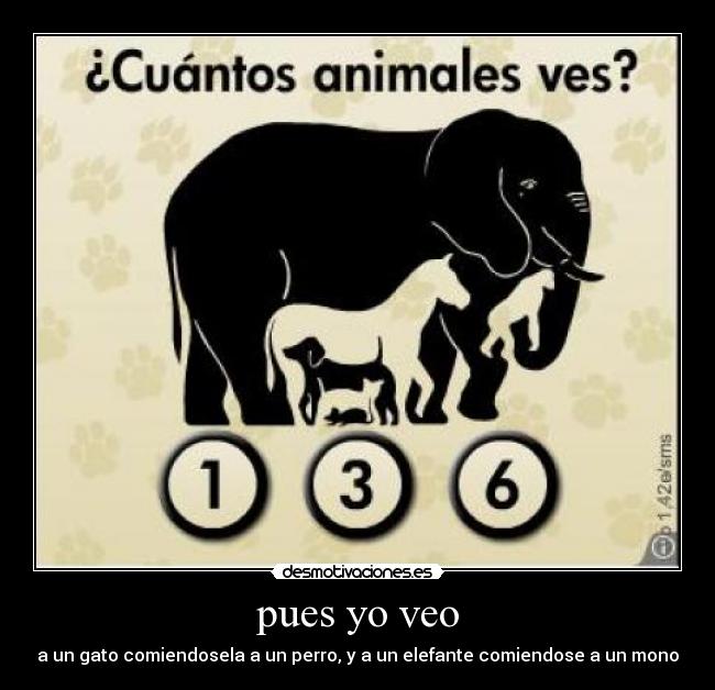 pues yo veo - a un gato comiendosela a un perro, y a un elefante comiendose a un mono