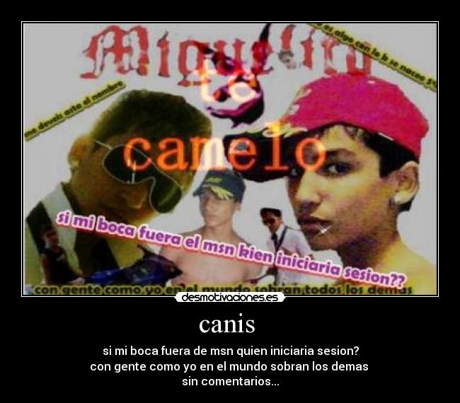 canis  - si mi boca fuera de msn quien iniciaria sesion?
con gente como yo en el mundo sobran los demas 
sin comentarios...