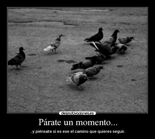 Párate un momento... -