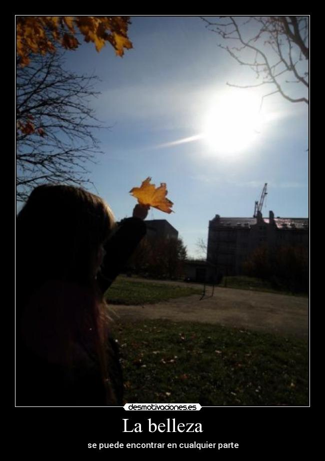 La belleza - se puede encontrar en cualquier parte