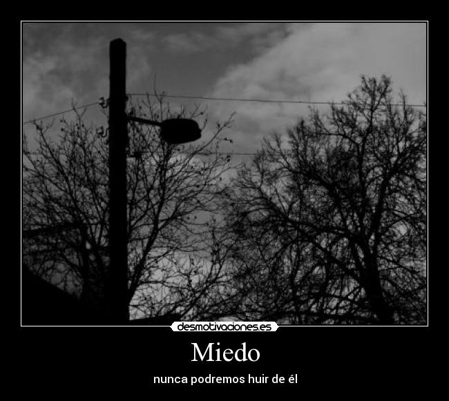 Miedo - nunca podremos huir de él