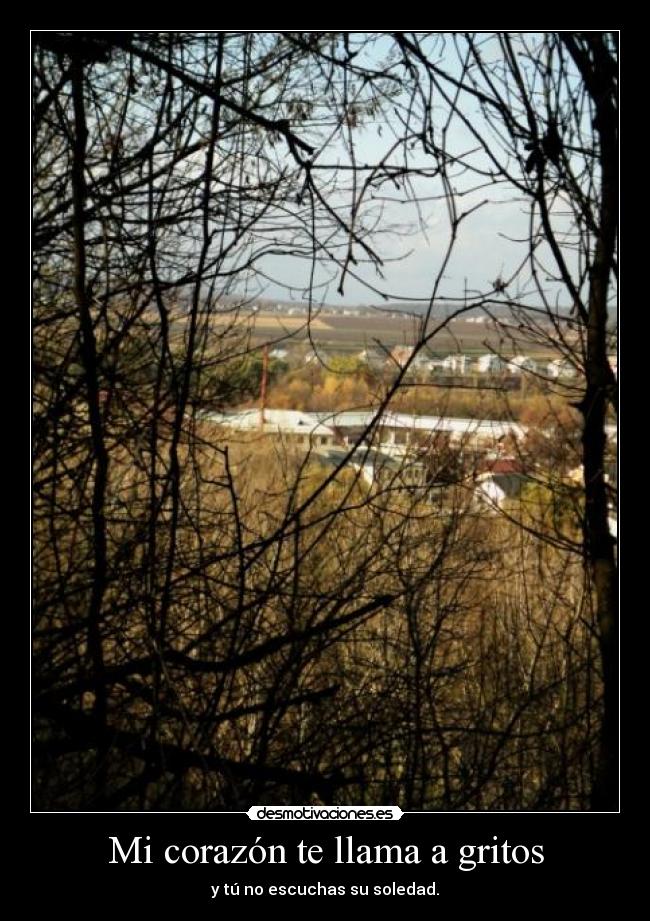 Mi corazón te llama a gritos - y tú no escuchas su soledad.