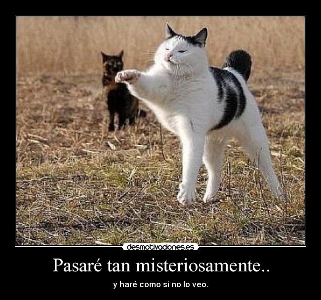 Pasaré tan misteriosamente.. - y haré como si no lo veo.