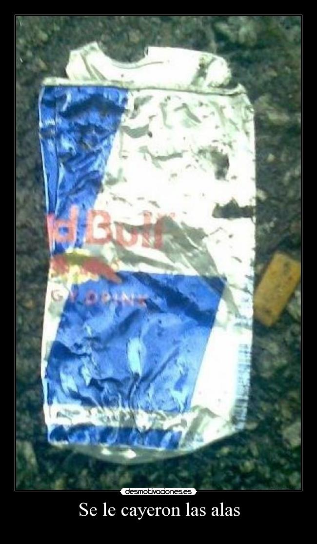 Se le cayeron las alas - 