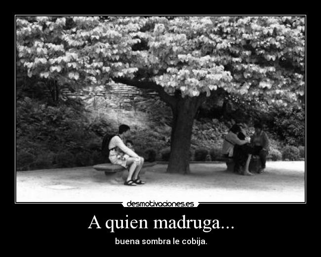 A quien madruga... - buena sombra le cobija.