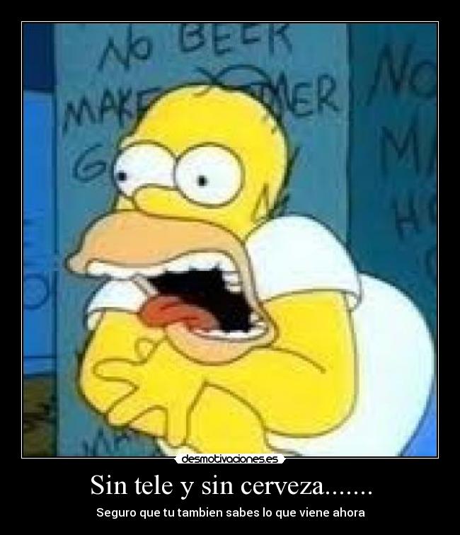 Sin tele y sin cerveza....... -