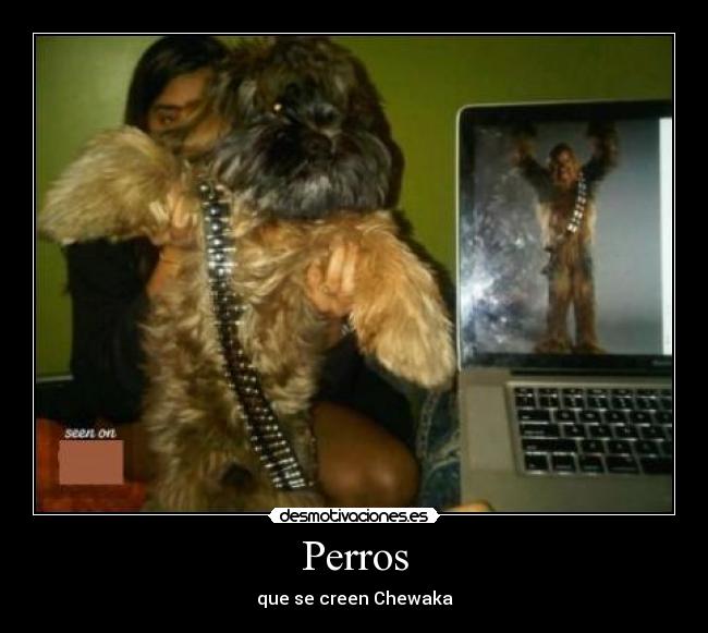 Perros - 