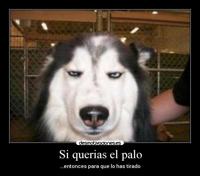 Si querias el palo -