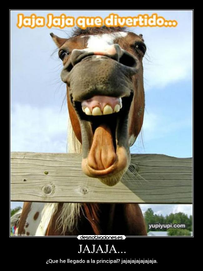 JAJAJA... - ¿Que he llegado a la principal? jajajajajajajaja.