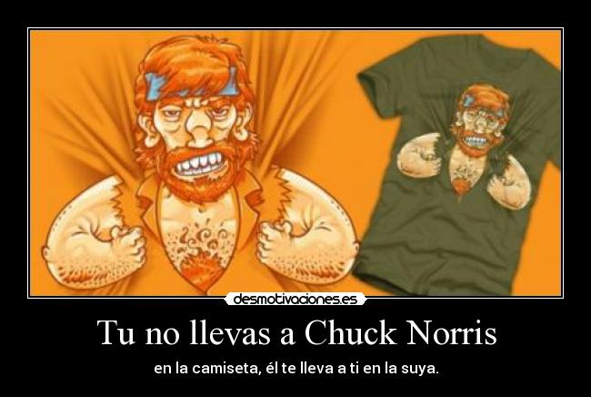 Tu no llevas a Chuck Norris - en la camiseta, él te lleva a ti en la suya.