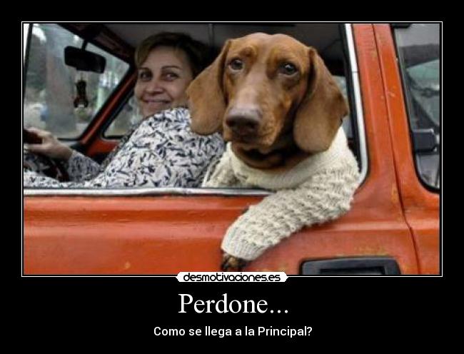Perdone... -