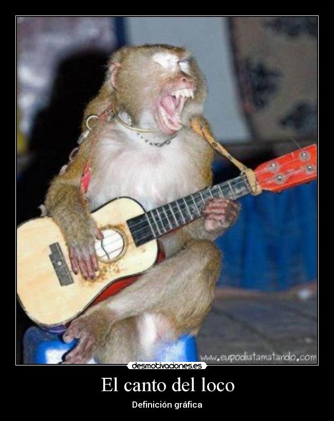 El canto del loco - Definición gráfica