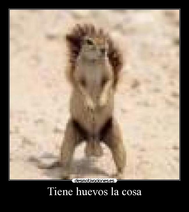 Tiene huevos la cosa -