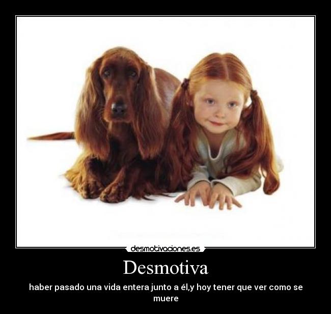 Desmotiva - haber pasado una vida entera junto a él,y hoy tener que ver como se muere