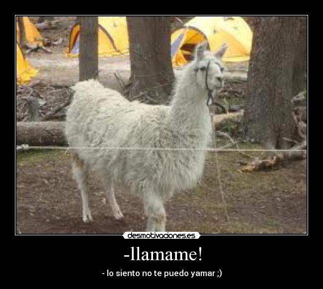 -llamame! - - lo siento no te puedo yamar ;)