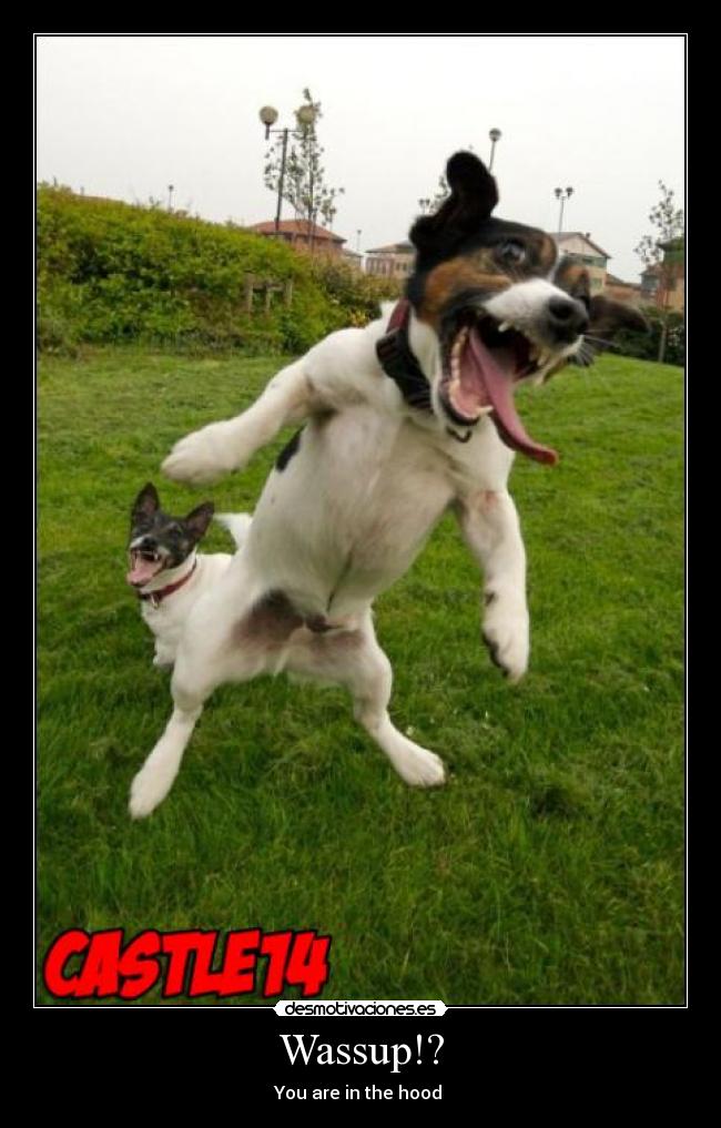 Wassup!? - You are in the hood