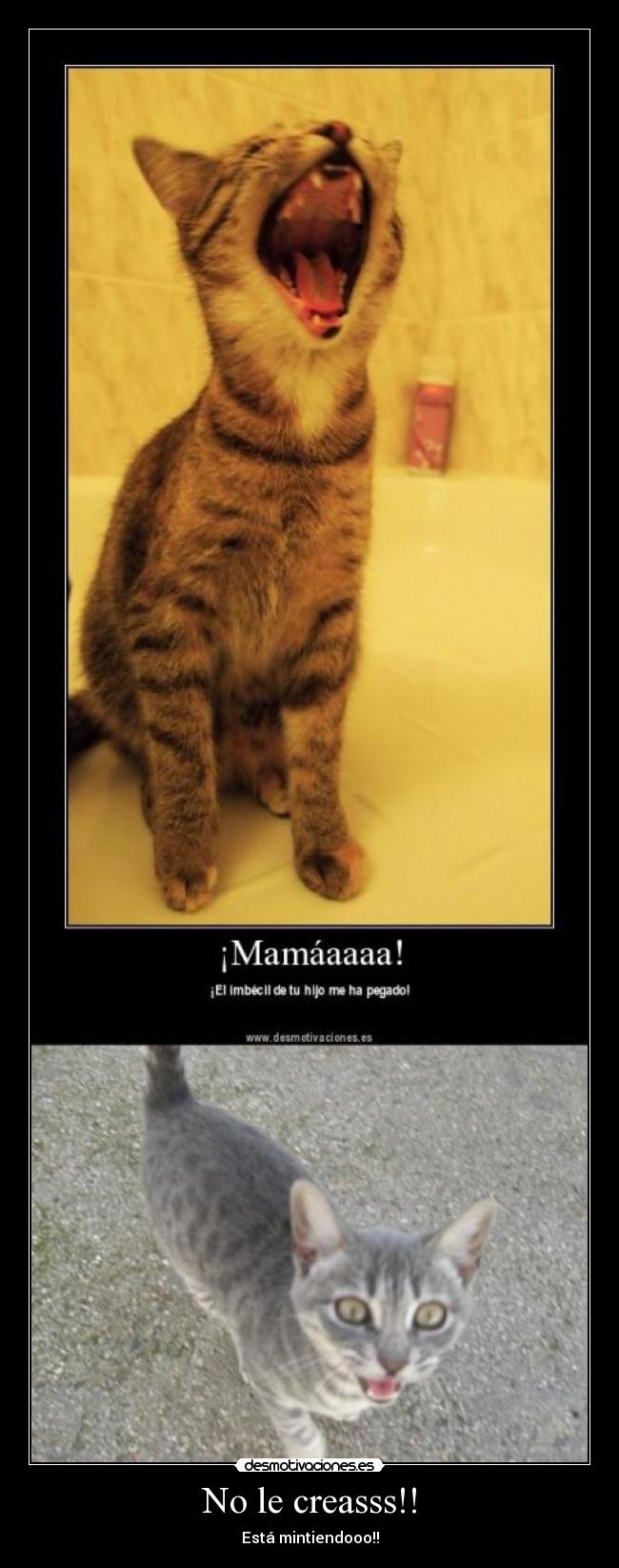 No le creasss!! - Está mintiendooo!!