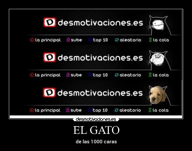 EL GATO -