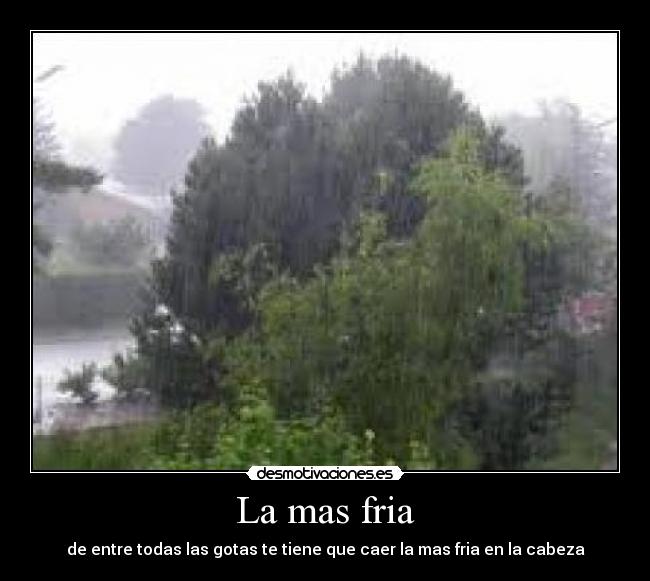 carteles friaaaaaa desmotivaciones