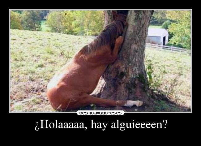 ¿Holaaaaa, hay alguieeeen? -