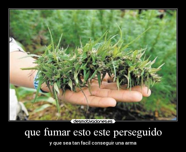 que fumar esto este perseguido - y que sea tan facil conseguir una arma
