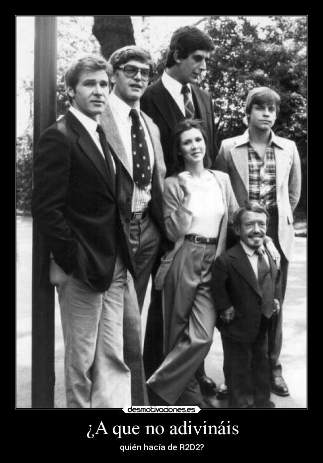 ¿A que no adivináis - 