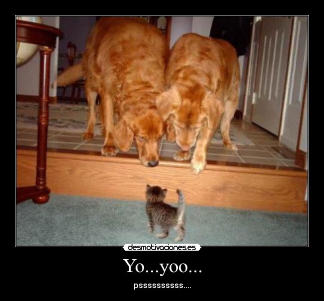 Yo...yoo... - pssssssssss....