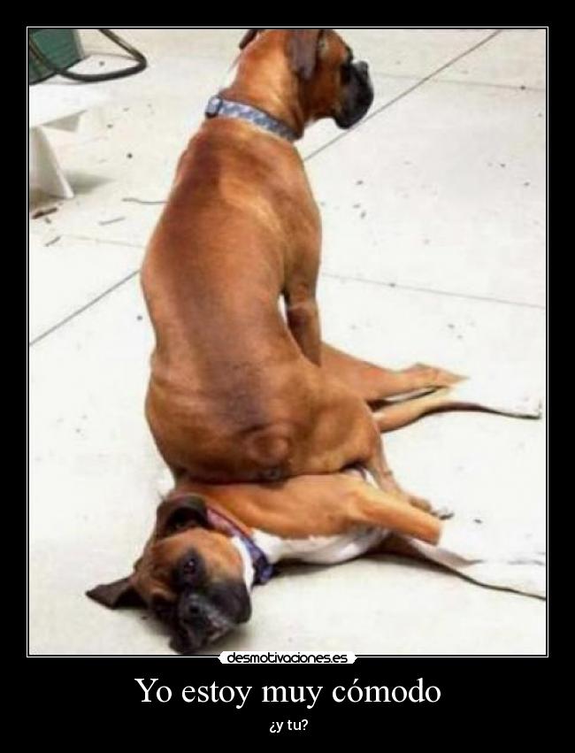 Yo estoy muy cómodo - ¿y tu?