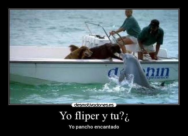 Yo fliper y tu?¿ -