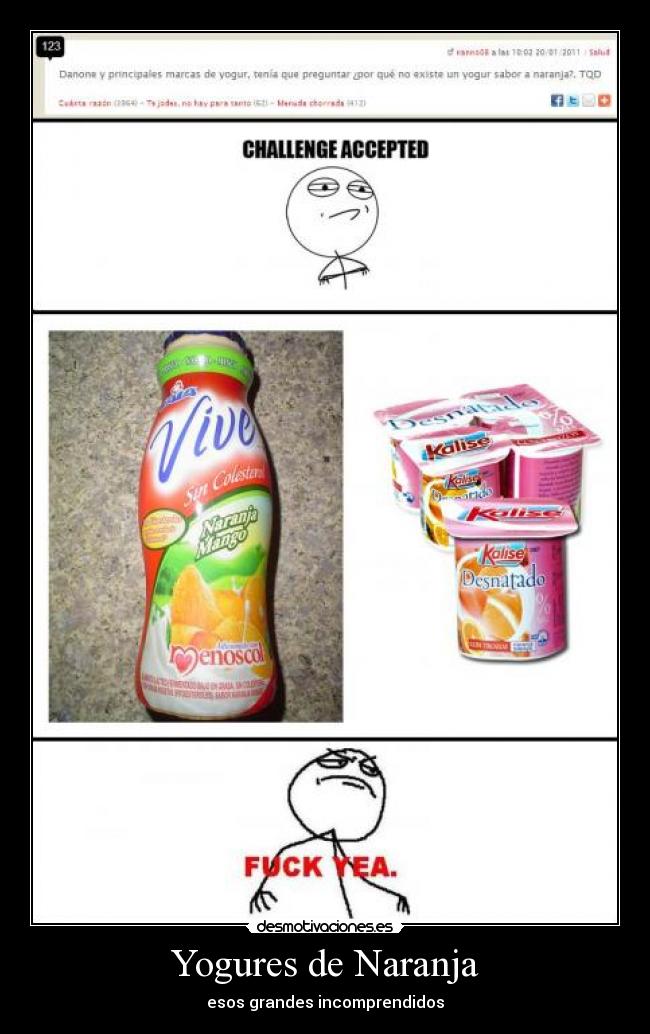 Yogures de Naranja - 