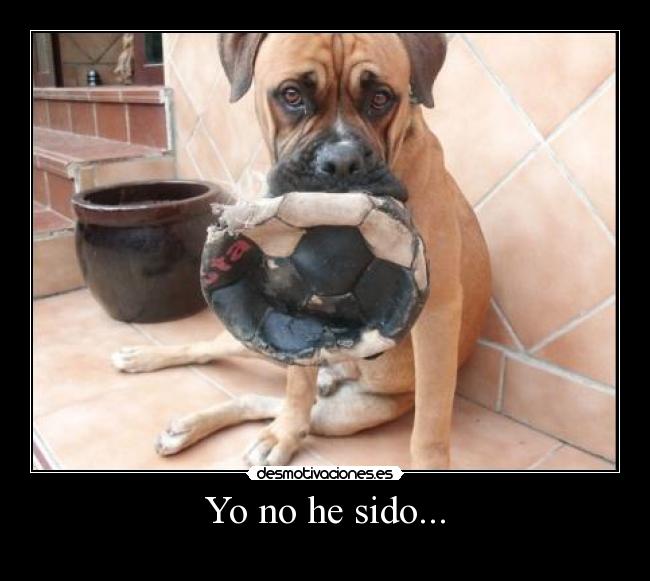Yo no he sido... - 