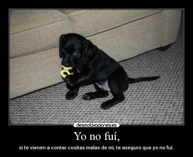 Yo no fuí, - si te vienen a contar cositas malas de mí, te aseguro que yo no fuí.