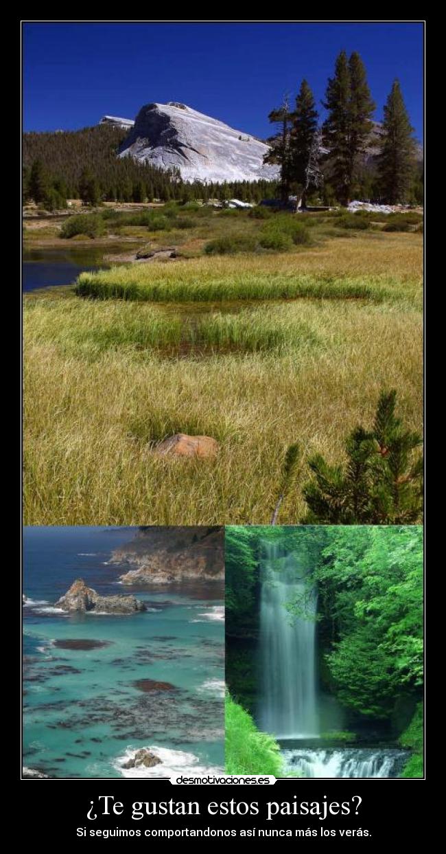 ¿Te gustan estos paisajes? -