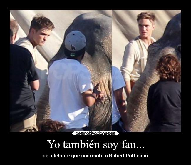 Yo también soy fan... -
