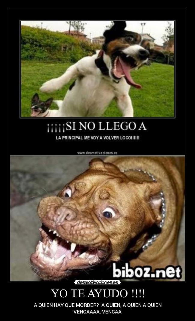 YO TE AYUDO !!!! - A QUIEN HAY QUE MORDER? A QUIEN, A QUIEN A QUIEN
VENGAAAA, VENGAA
