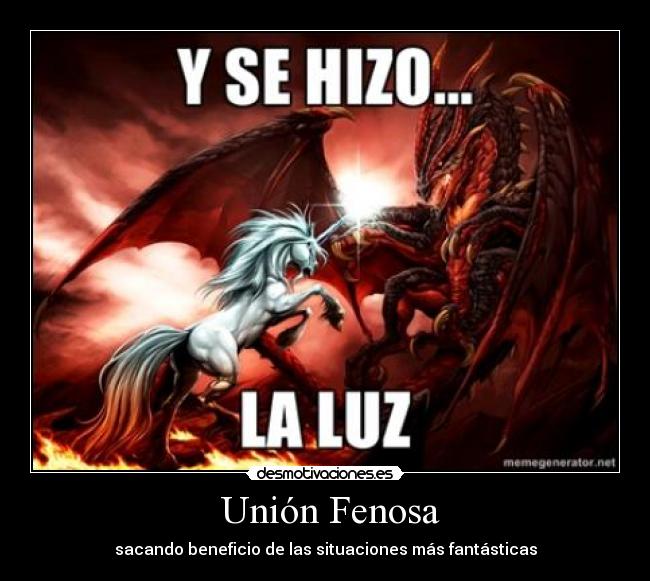 Unión Fenosa -