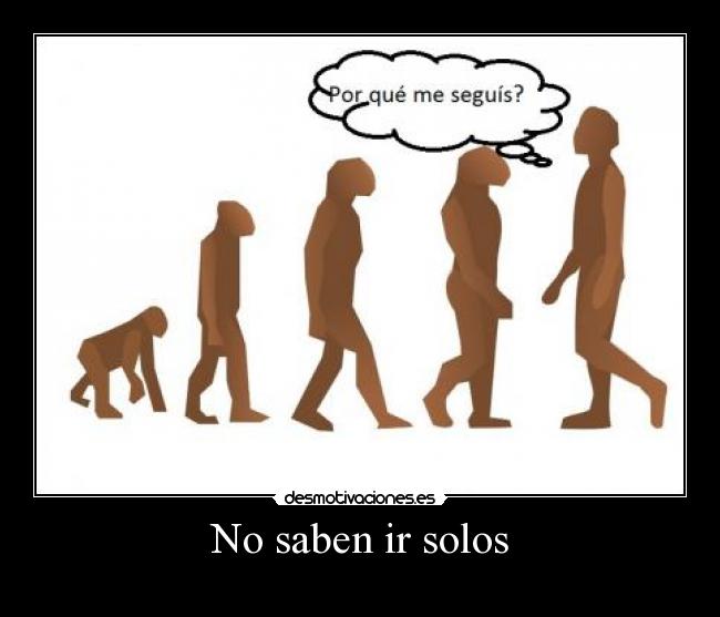 No saben ir solos -