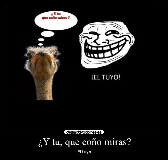 ¿Y tu, que coño miras? - El tuyo