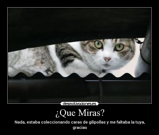 carteles desmotivaciones